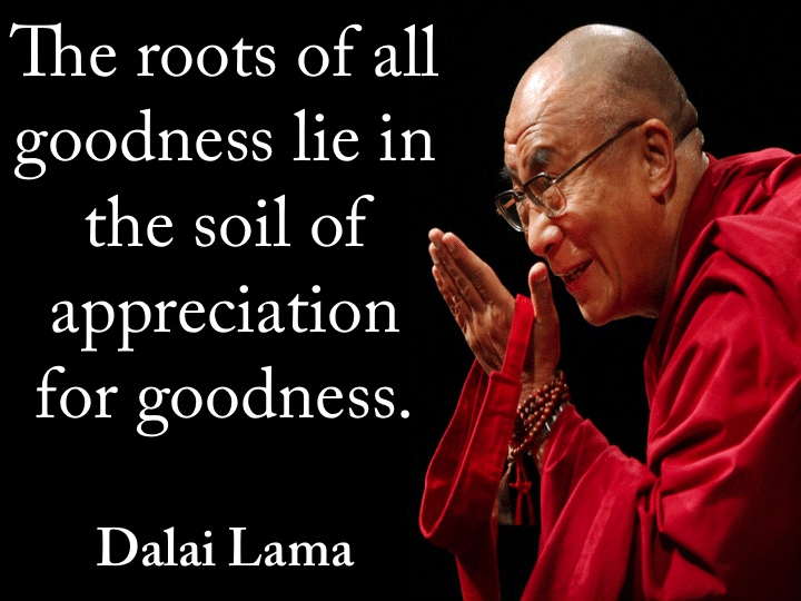 gratitude quotes: "The roots of all goodness lie in the soil of appreciation for goodness.” - Dalai Lama